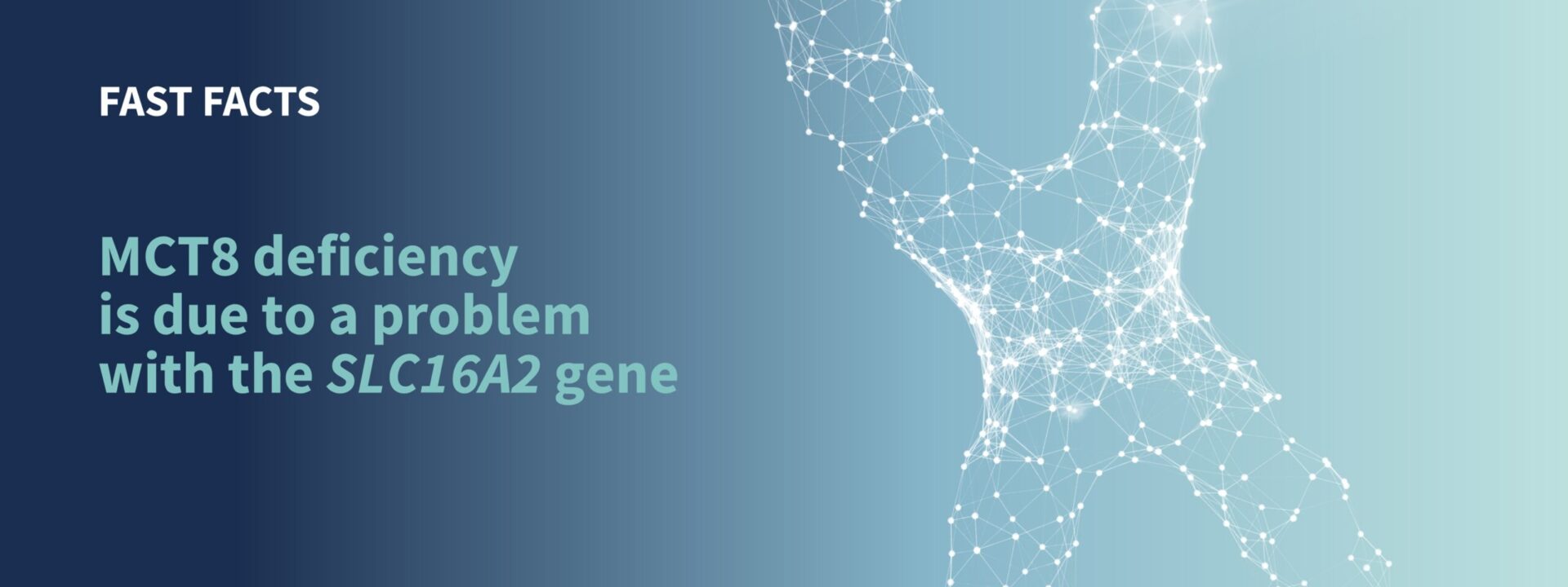 MCT8 deficiency is due to a problem with the SLC16A2 gene