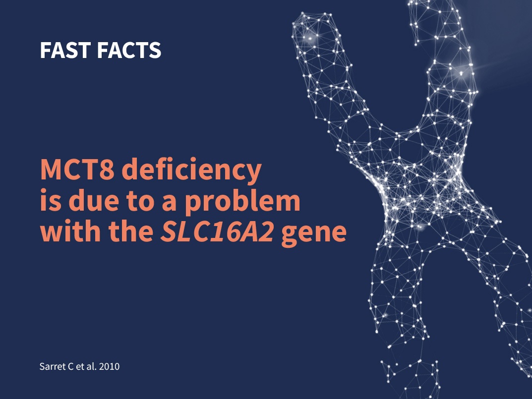 MCT8 deficiency is due to a problem with the SLC16A2 gene
