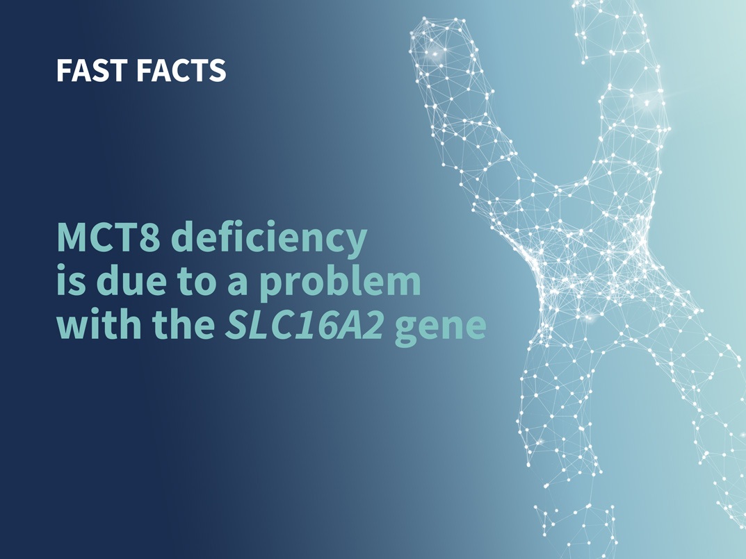 MCT8 deficiency is due to a problem with the SLC16A2 gene