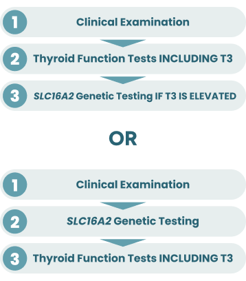 Diagnosis process graphic.