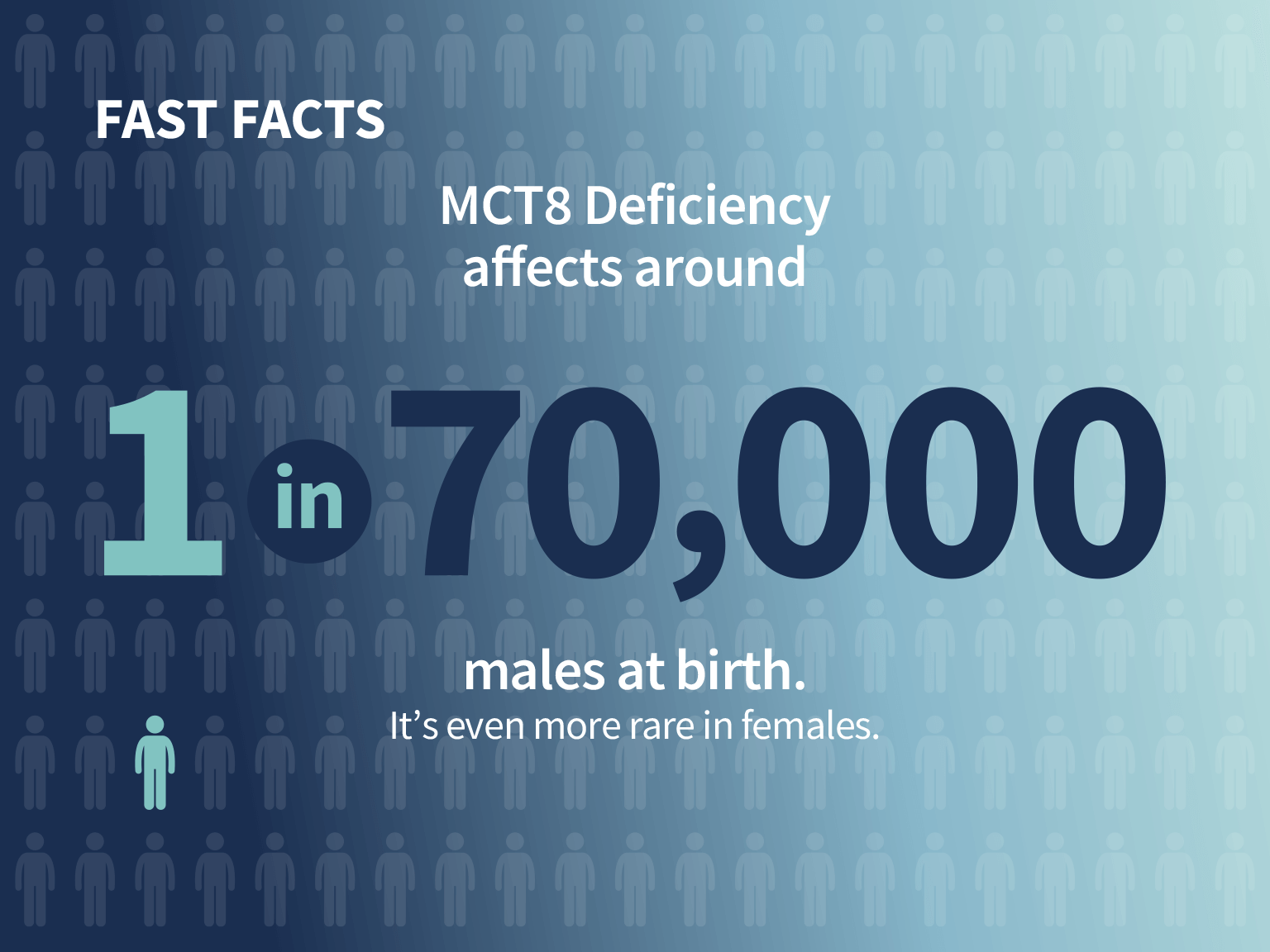 MCT8 Deficiency affects around 1 in 70000 males at birth. Itʼs even more rare in females.